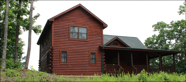 Professional Log Home Borate Application  Emerald Isle,  North Carolina
